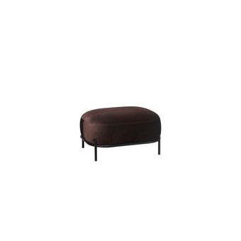 Polly Hocker Bruin