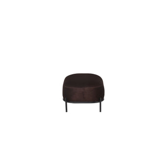 Polly Hocker Bruin