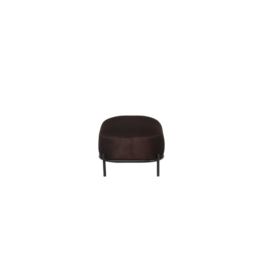 Polly Hocker Bruin
