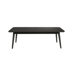 Fabio Salontafel Rechthoekig Hout 120x60 cm Zwart