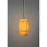 Arjun Hanglamp Katoen Lang